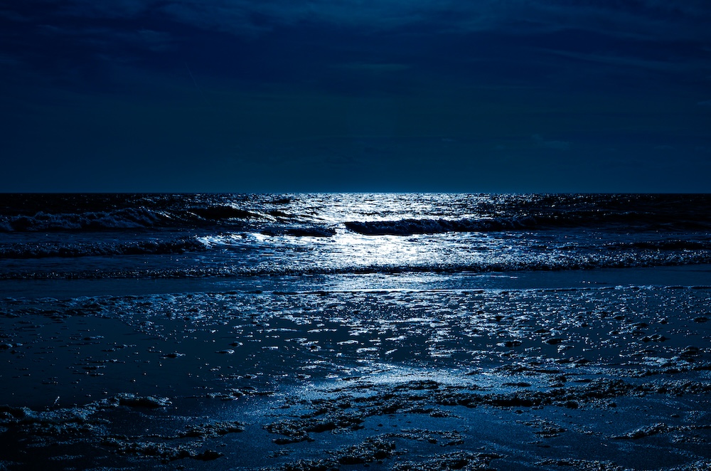Bribie Island Follow Me Tours - Dark Nature - Nocturnal Ecotherapy - Moonlight Meditation