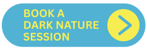 Book a dark nature, noctural ecotherapy session - Bribie Island - Brisbane, Queensland