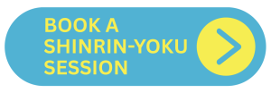 Book a shinrin-yoku, forest bathing ecotherapy session - Bribie Island - Brisbane, Queensland