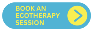 Book an ecotherapy session - Bribie Island - Brisbane, Queensland