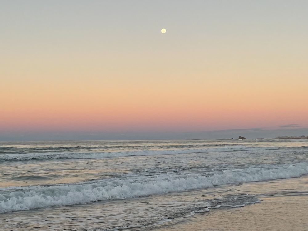 Follow Me Tours - Ecotherapy Bribie Island