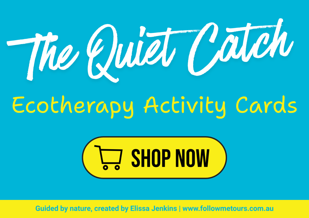 The Quiet Catch - Ecotherapy Activity Cards - Shop Now